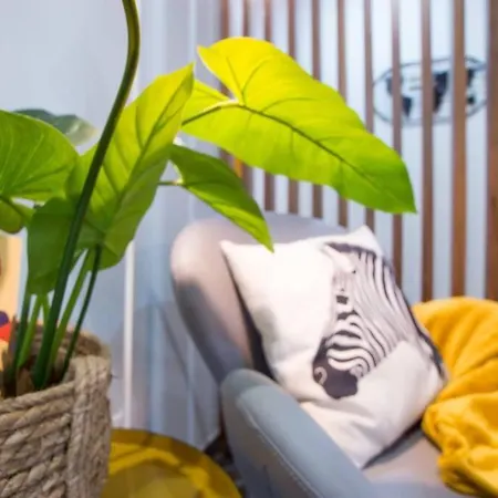 Apartament Modern In Center Coimbra