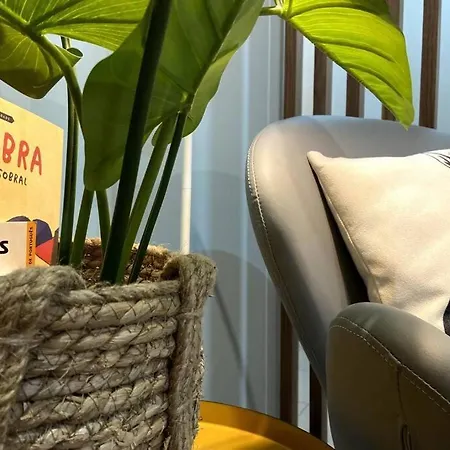 Modern In Center Coimbra