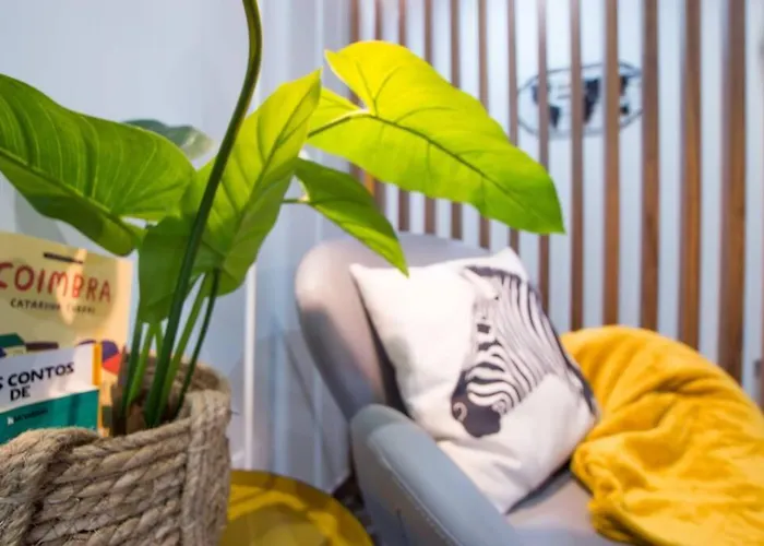 Апартаменты Modern In Center Коимбра